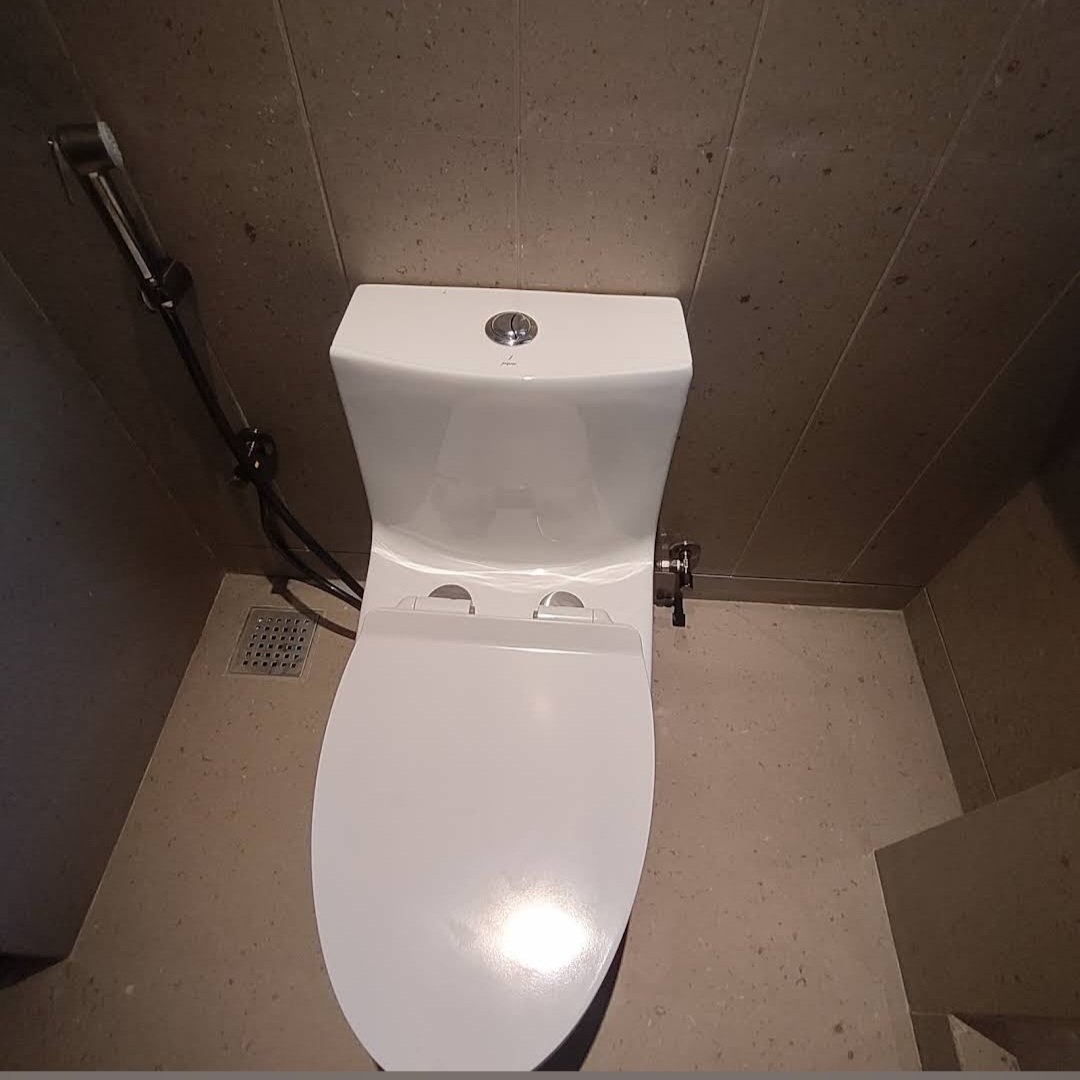 Toilet fitting
